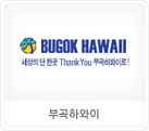 부곡하와이