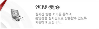 실시간 방송 서비스