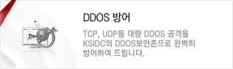 DDOS 방어