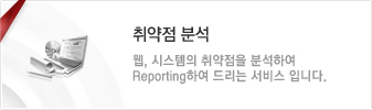 취약점 분석