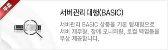 서버관리대행(Basic)