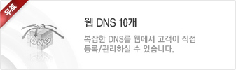 웹DNS 10개