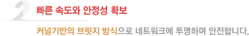 빠른속도와 안정성확보
