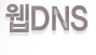 웹 DNS