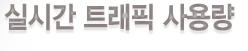 실시간 트래픽 사용량